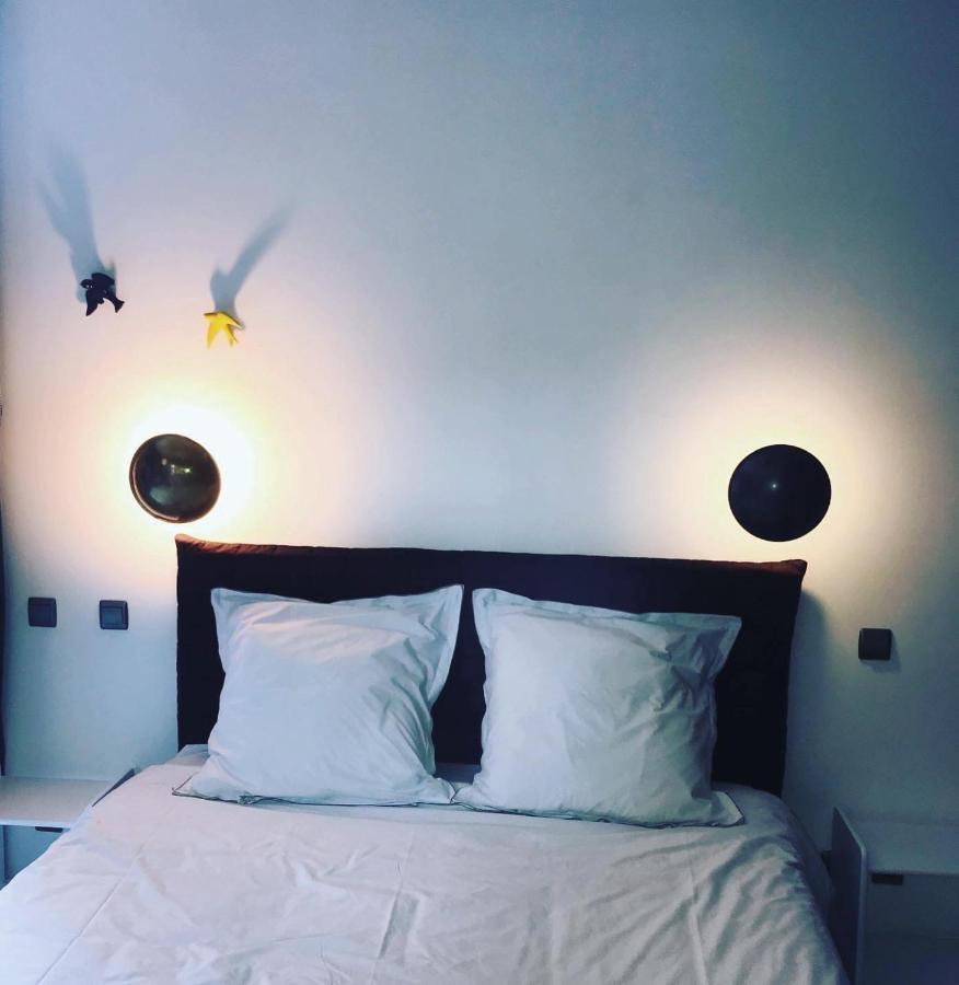 Maison Matejewski Chambre D'Hotes Avec Jardin Blaye Esterno foto